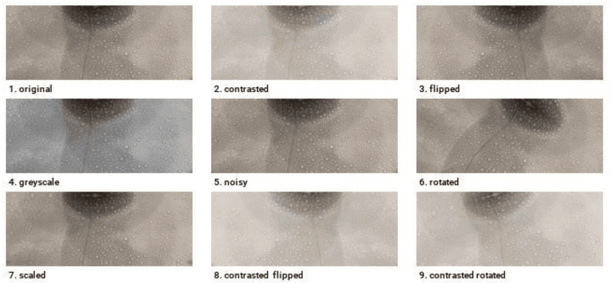 Cover Image for Deep Learning Defect Classifier